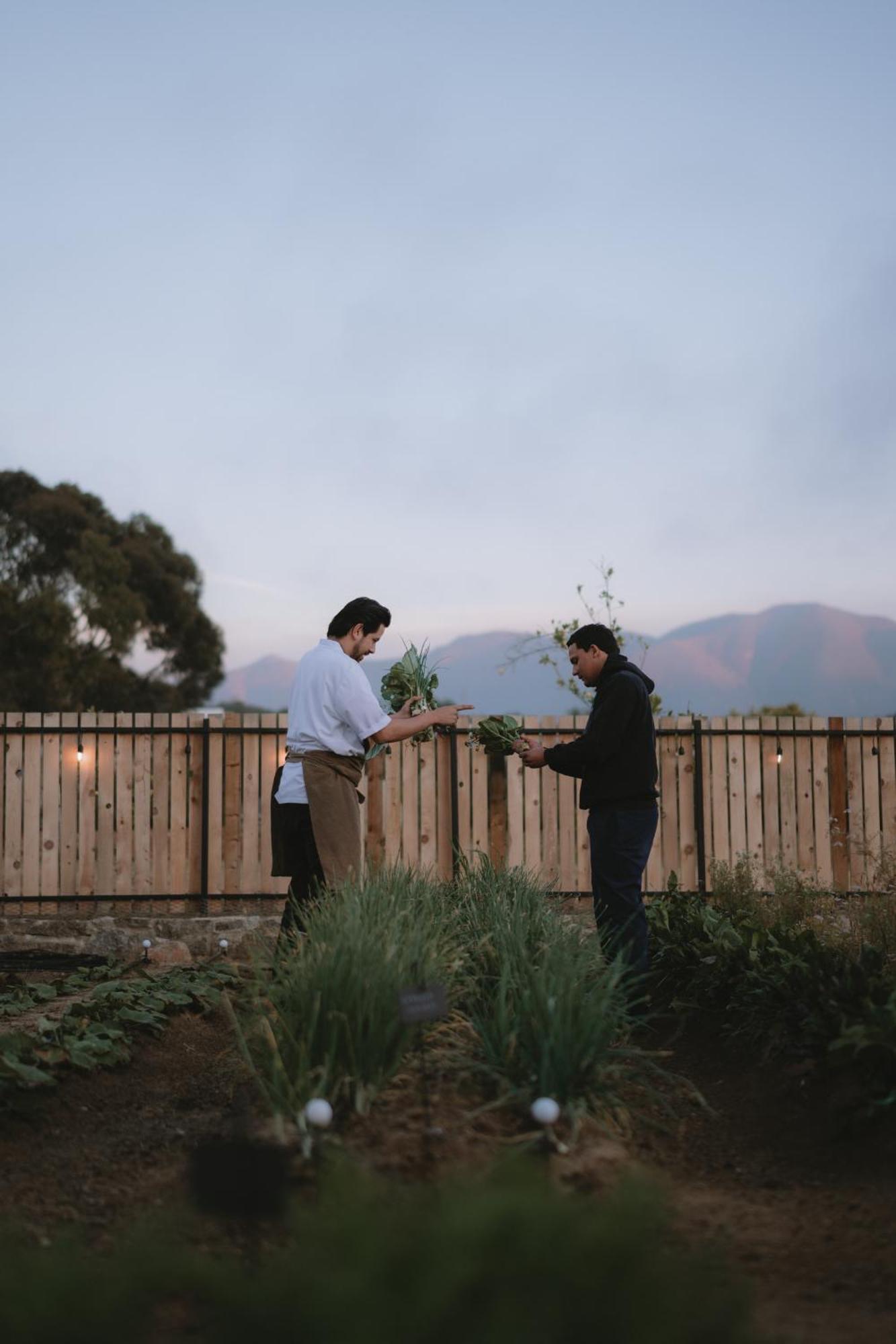 Casa Olivea - Mya Hotel Valle de Guadalupe Exterior foto