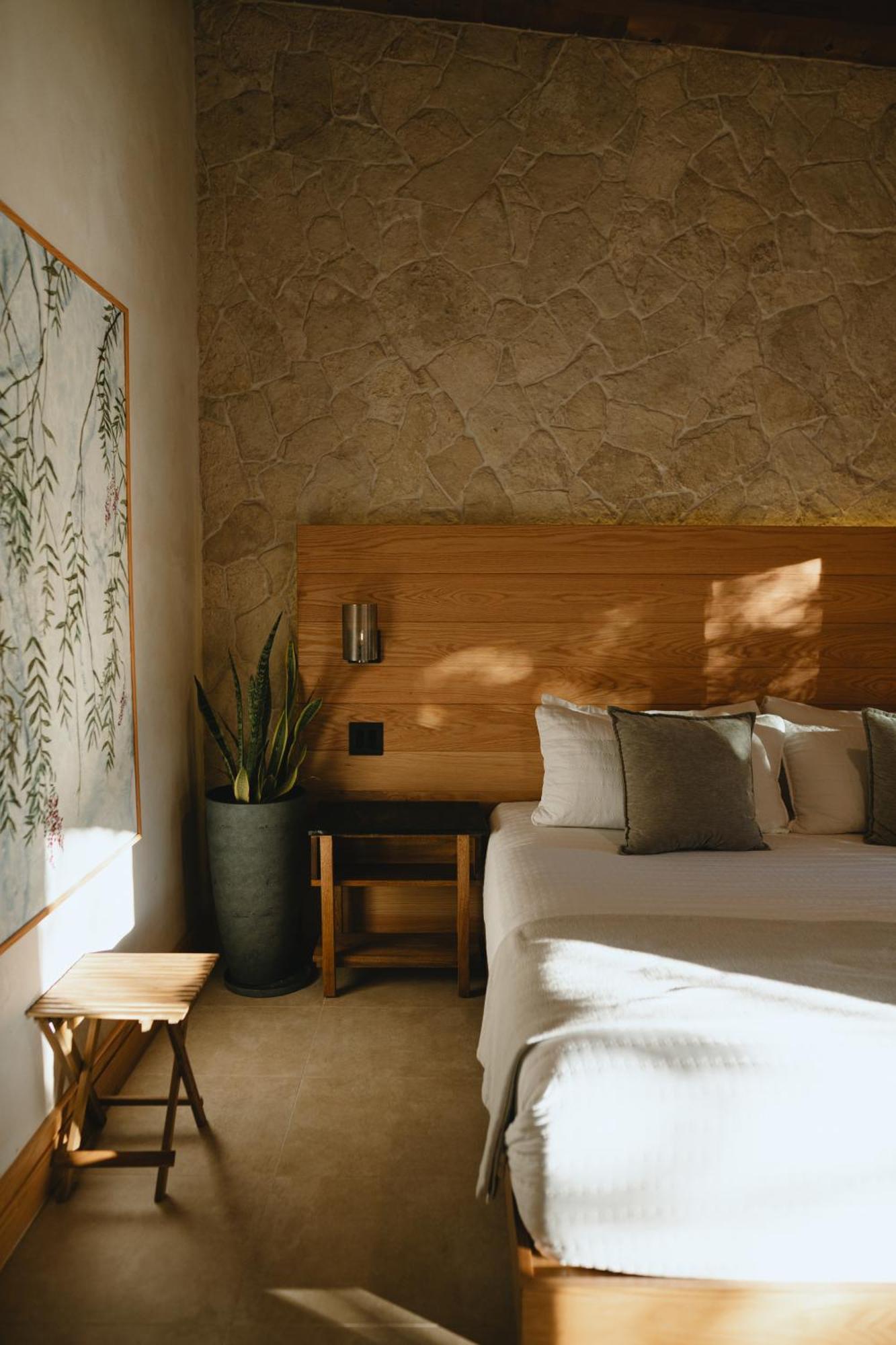 Casa Olivea - Mya Hotel Valle de Guadalupe Exterior foto