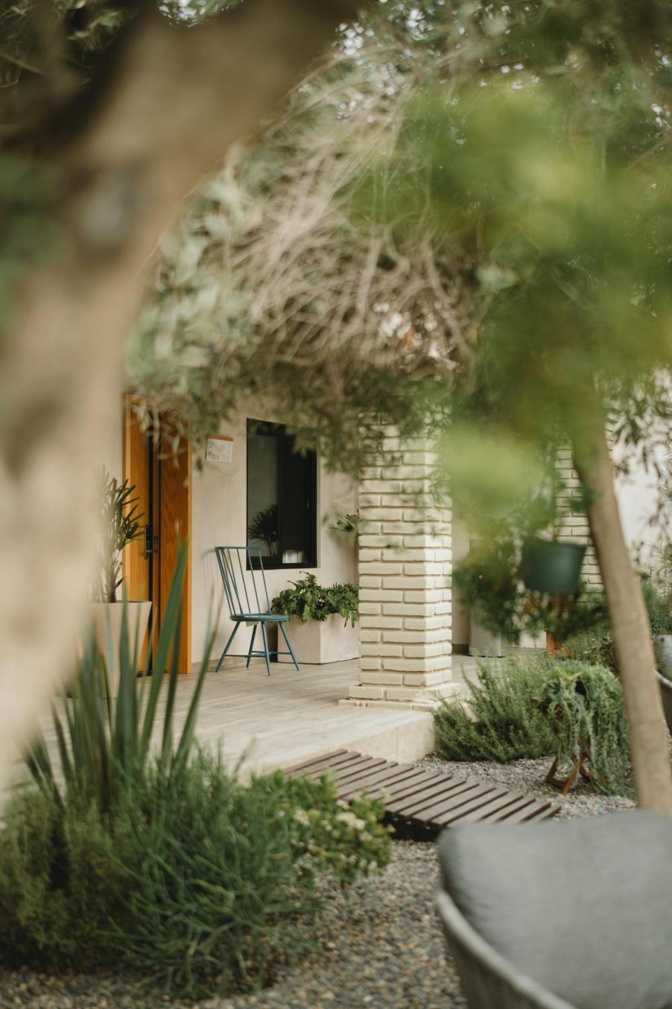 Casa Olivea - Mya Hotel Valle de Guadalupe Exterior foto