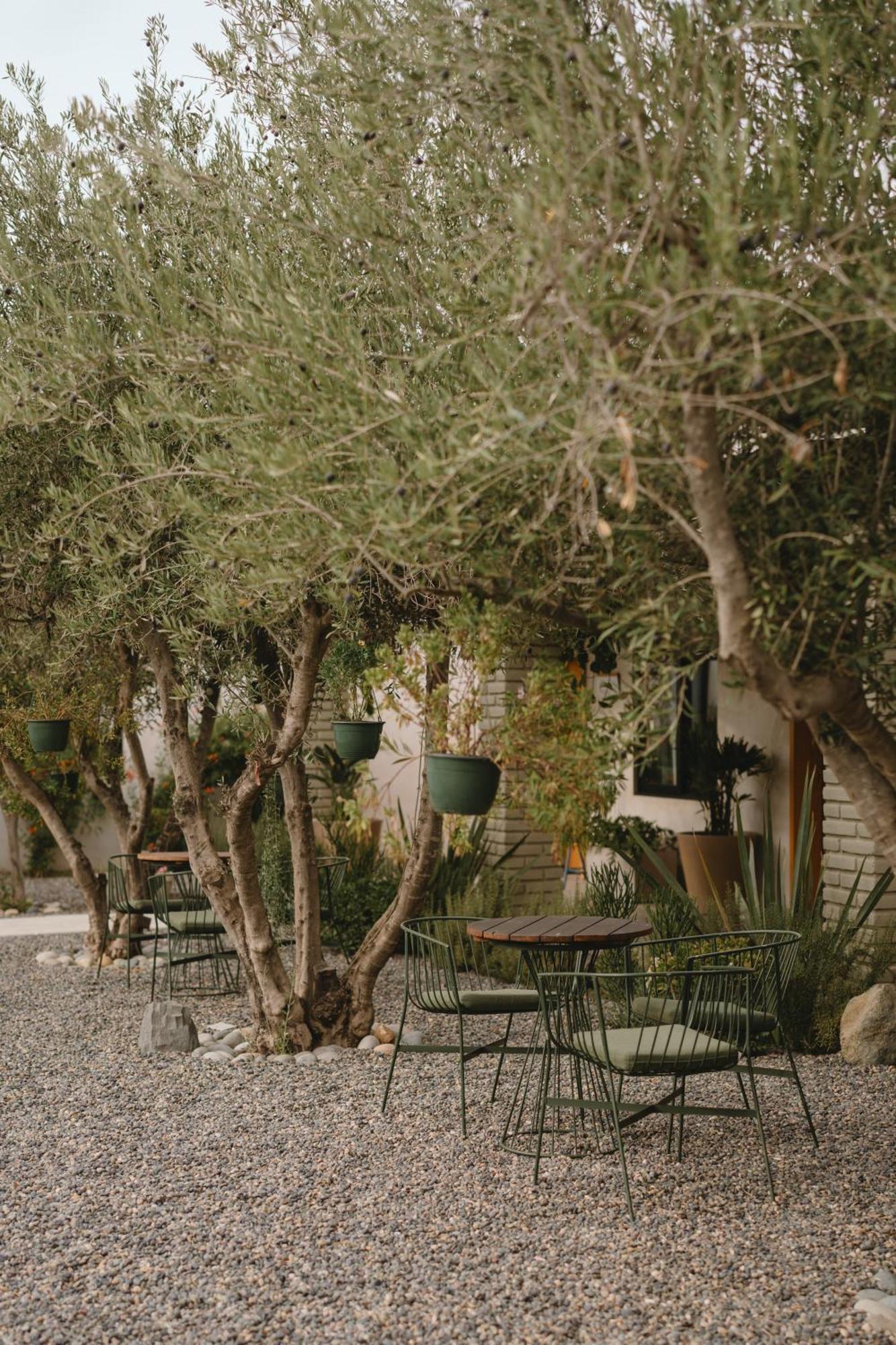 Casa Olivea - Mya Hotel Valle de Guadalupe Exterior foto